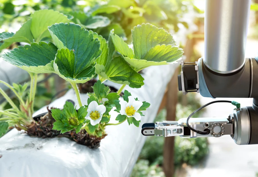 Agritech Industry